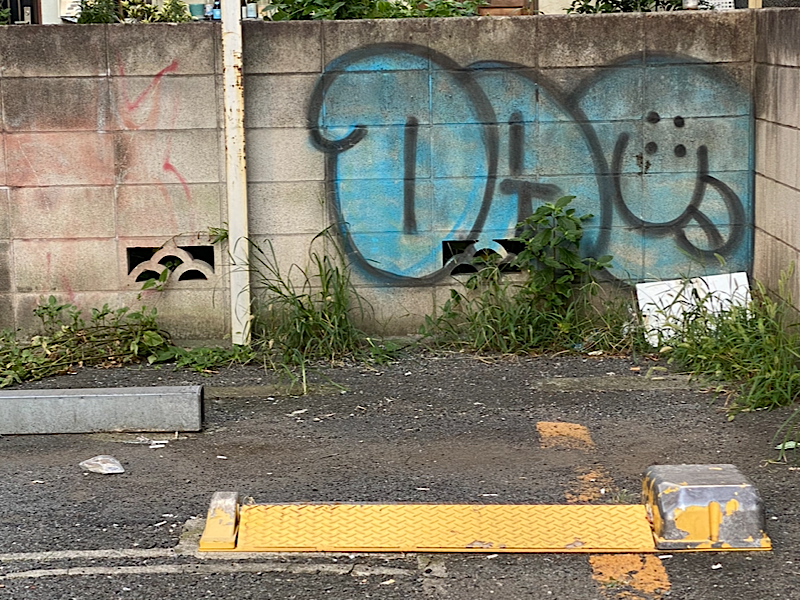 f:id:kazuki1026:20240812172535p:image f:id:kazuki1026:20240812172535p:image