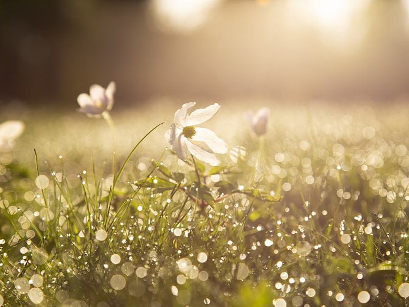 f:id:kazuki1026:20241009023715p:image