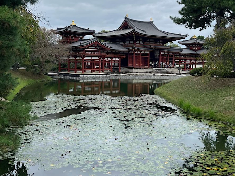 f:id:kazuki1026:20241029030840p:image