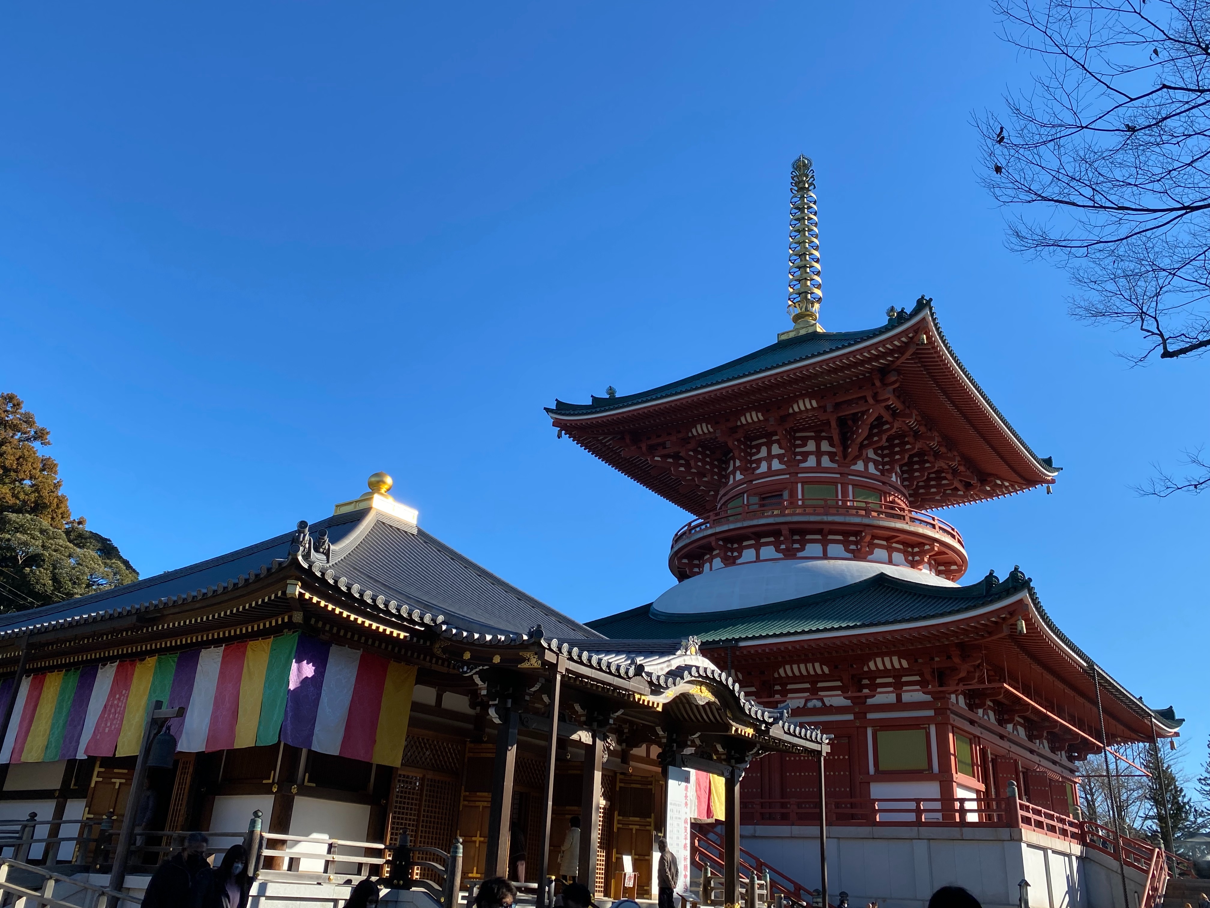 f:id:kazuki1026:20250102105719j:image f:id:kazuki1026:20250102105719j:image