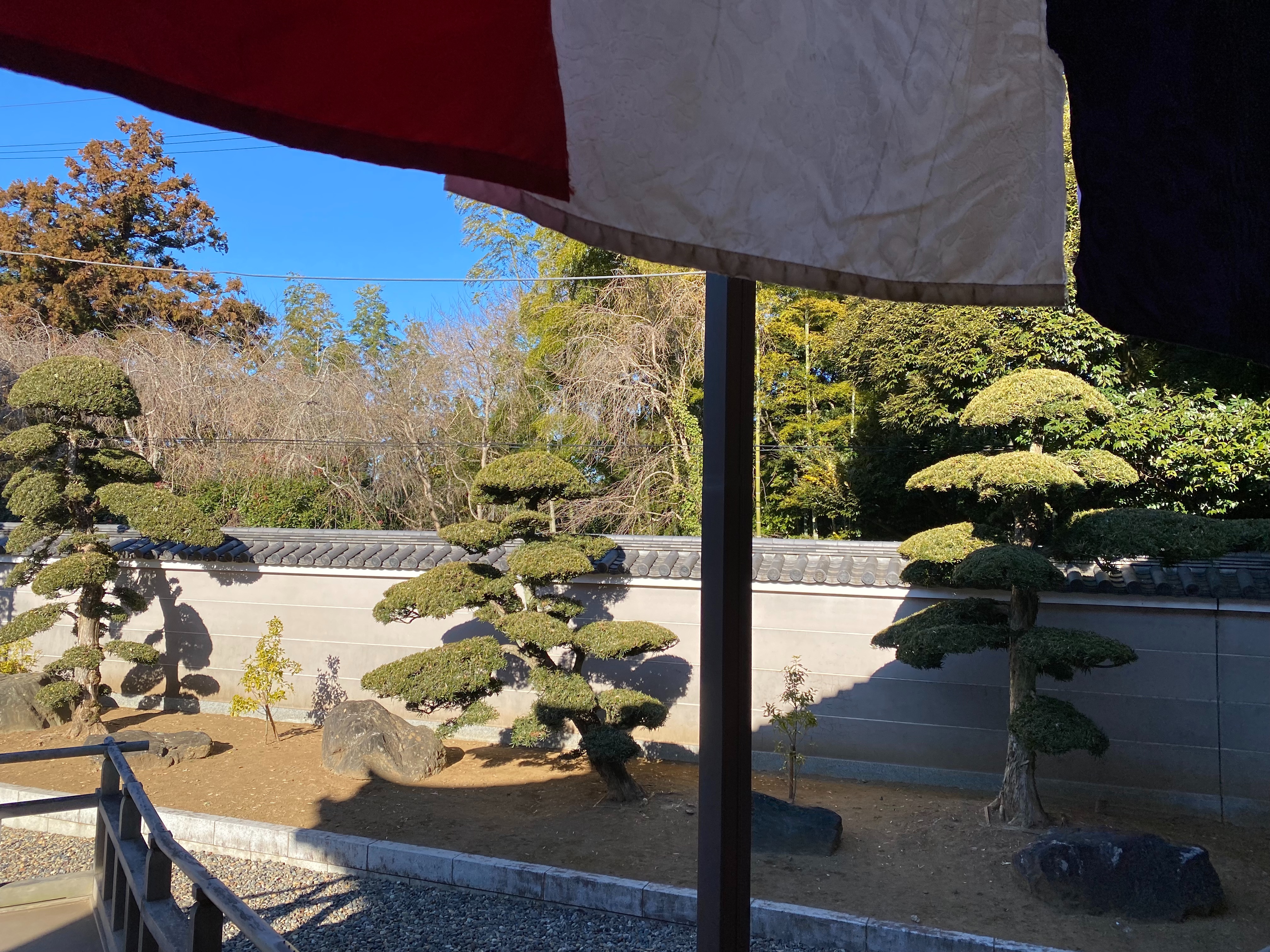 f:id:kazuki1026:20250102105901j:image f:id:kazuki1026:20250102105901j:image