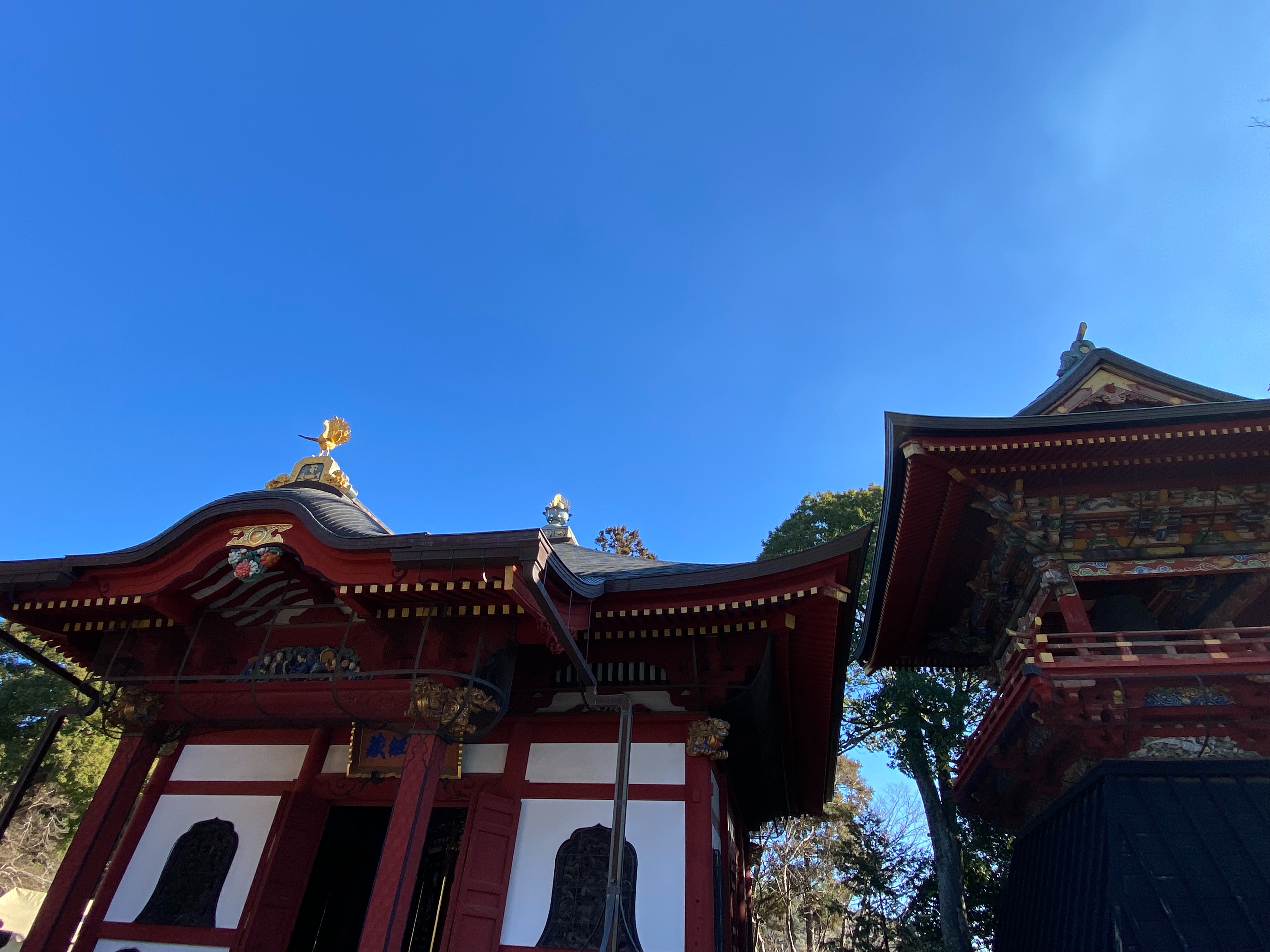 f:id:kazuki1026:20250102110110j:image f:id:kazuki1026:20250102110110j:image