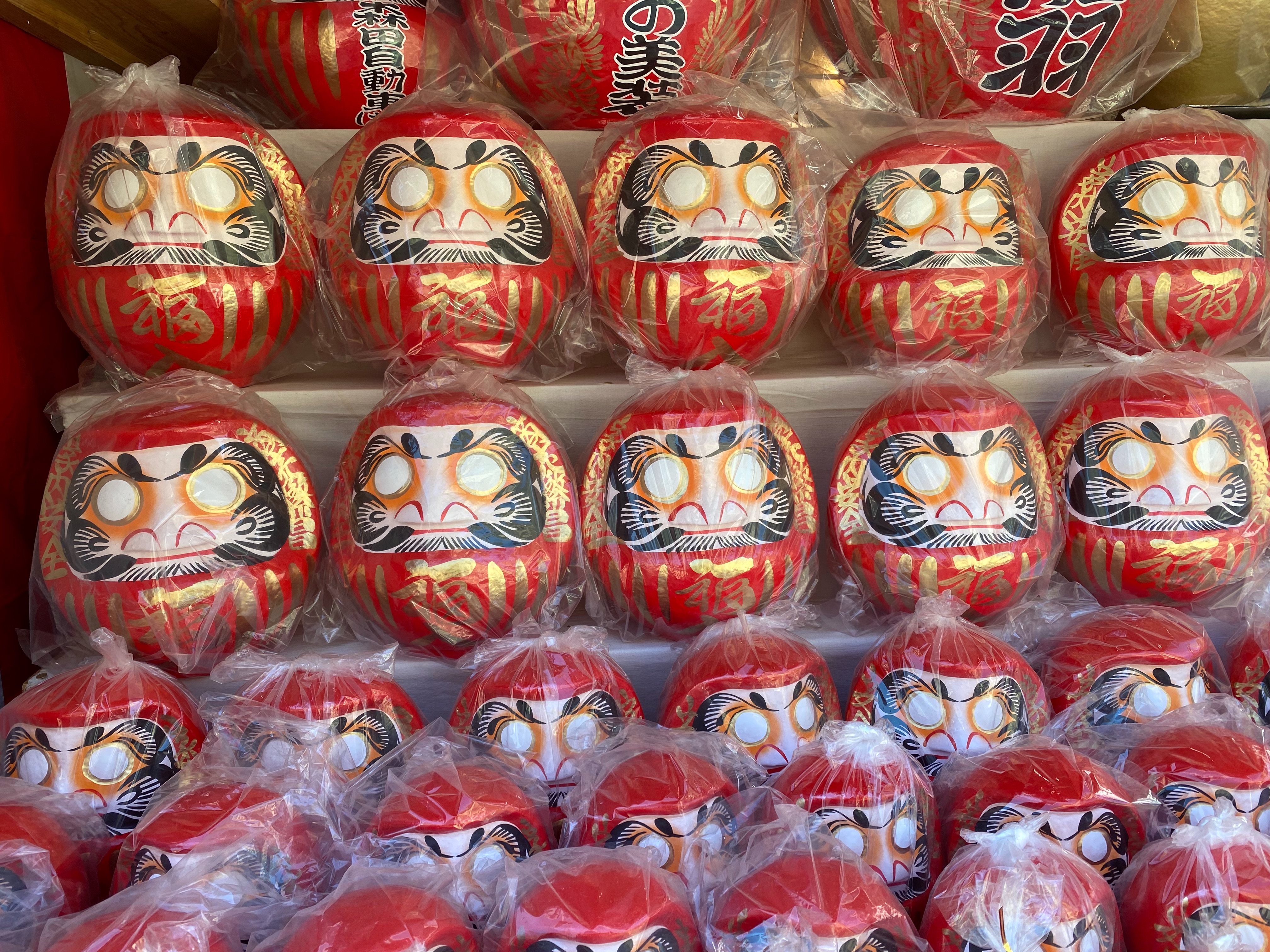 f:id:kazuki1026:20250102134522j:image f:id:kazuki1026:20250102134522j:image