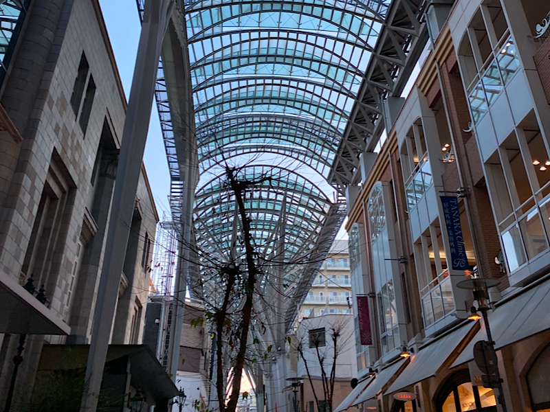f:id:kazuki1026:20250125201848p:image