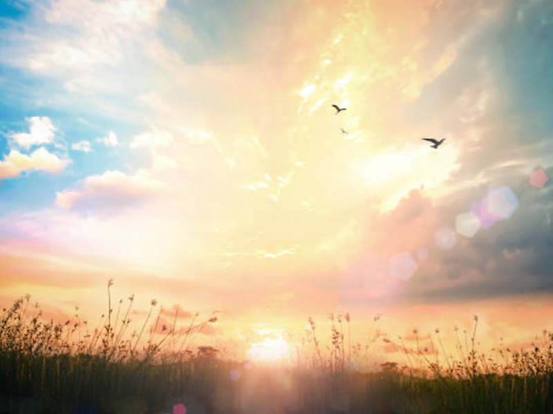 f:id:kazuki1026:20250426191905p:image f:id:kazuki1026:20250426191905p:image