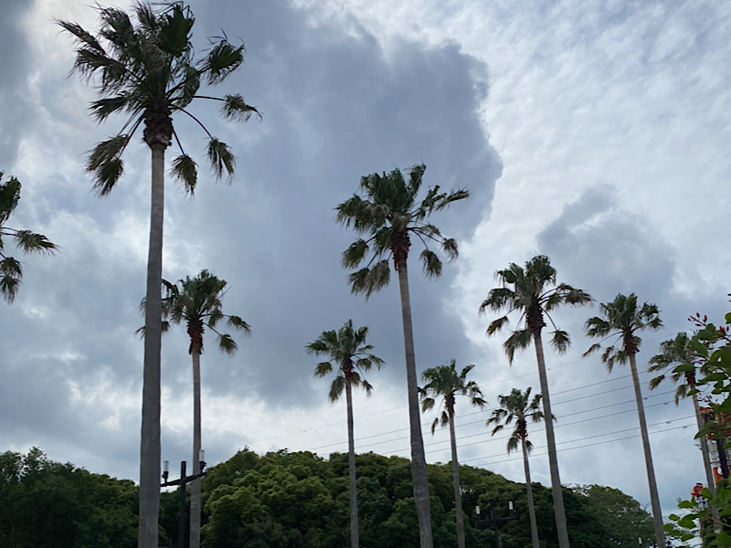 f:id:kazuki1026:20250614170744p:image