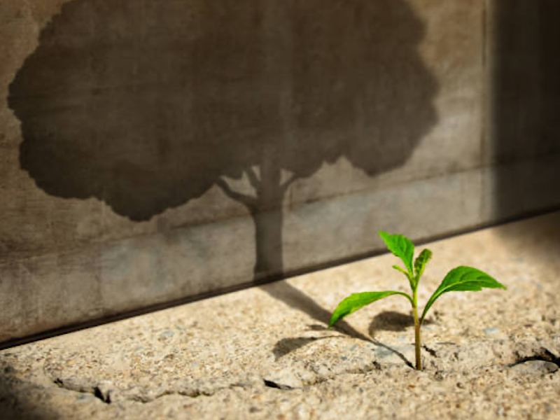 f:id:kazuki1026:20250802085526p:image