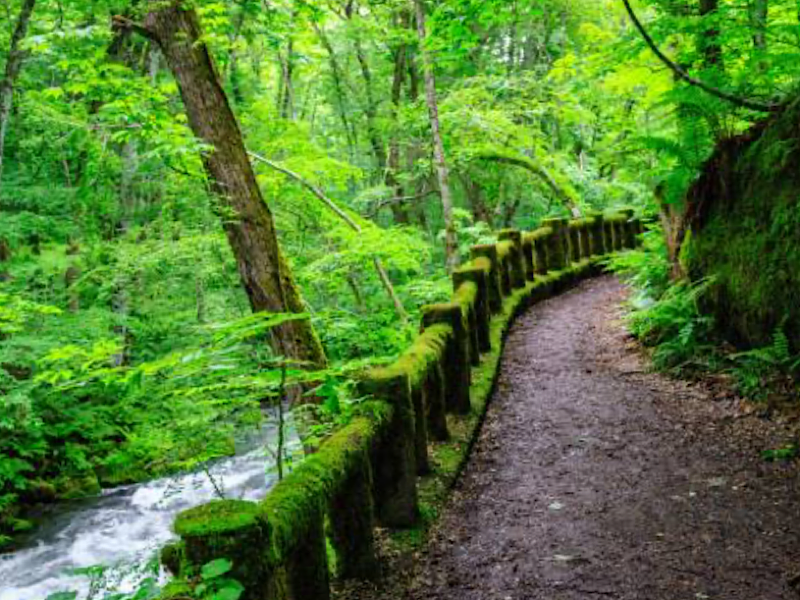 f:id:kazuki1026:20250802085620p:image