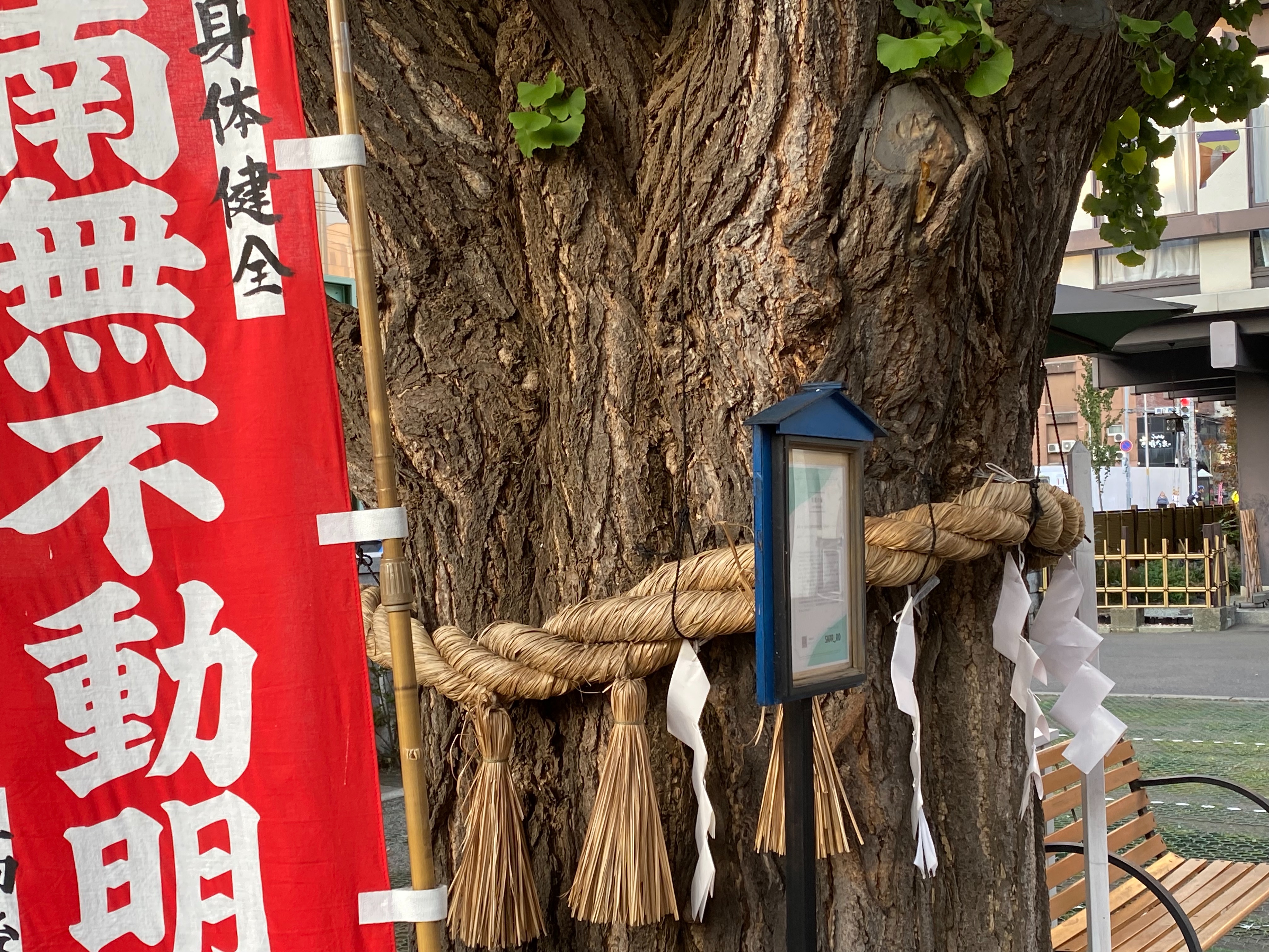 f:id:kazuki1026:20251018104555j:image