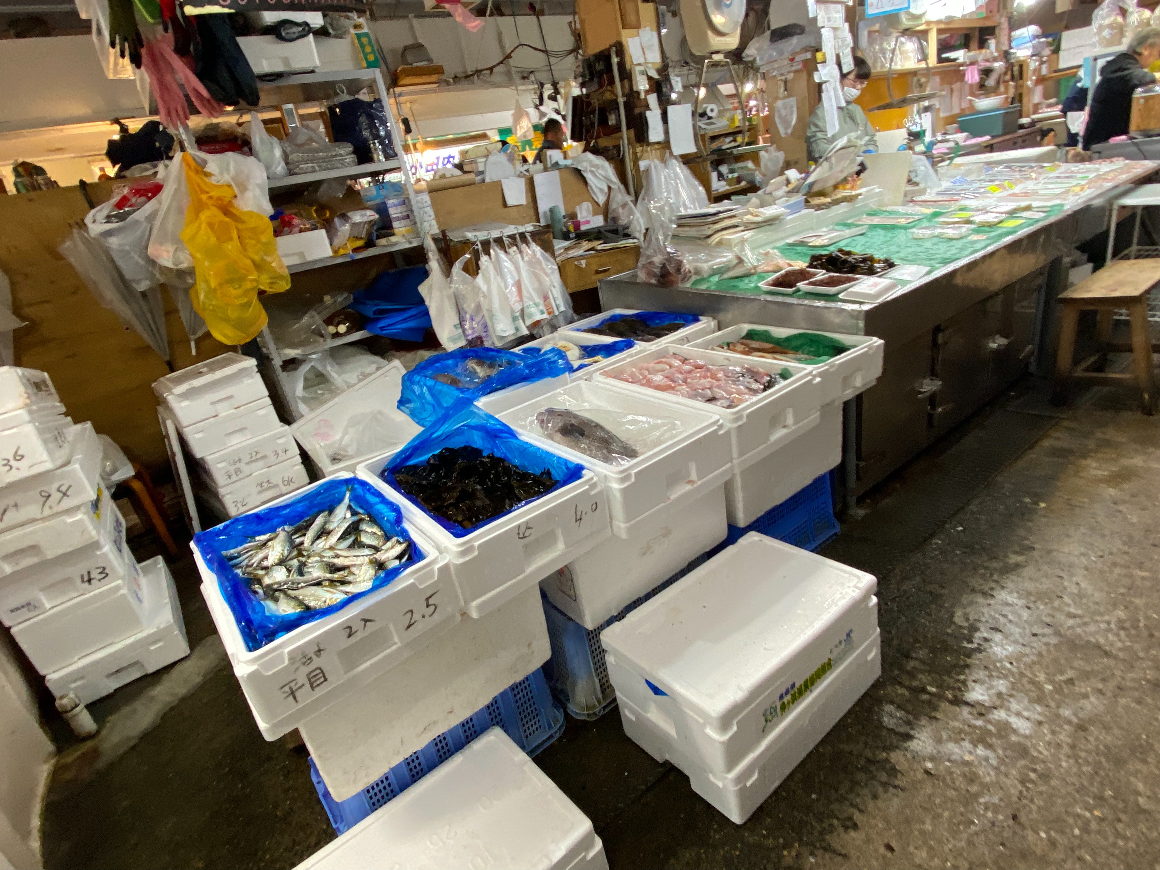 f:id:kazuki1026:20260308142651j:image