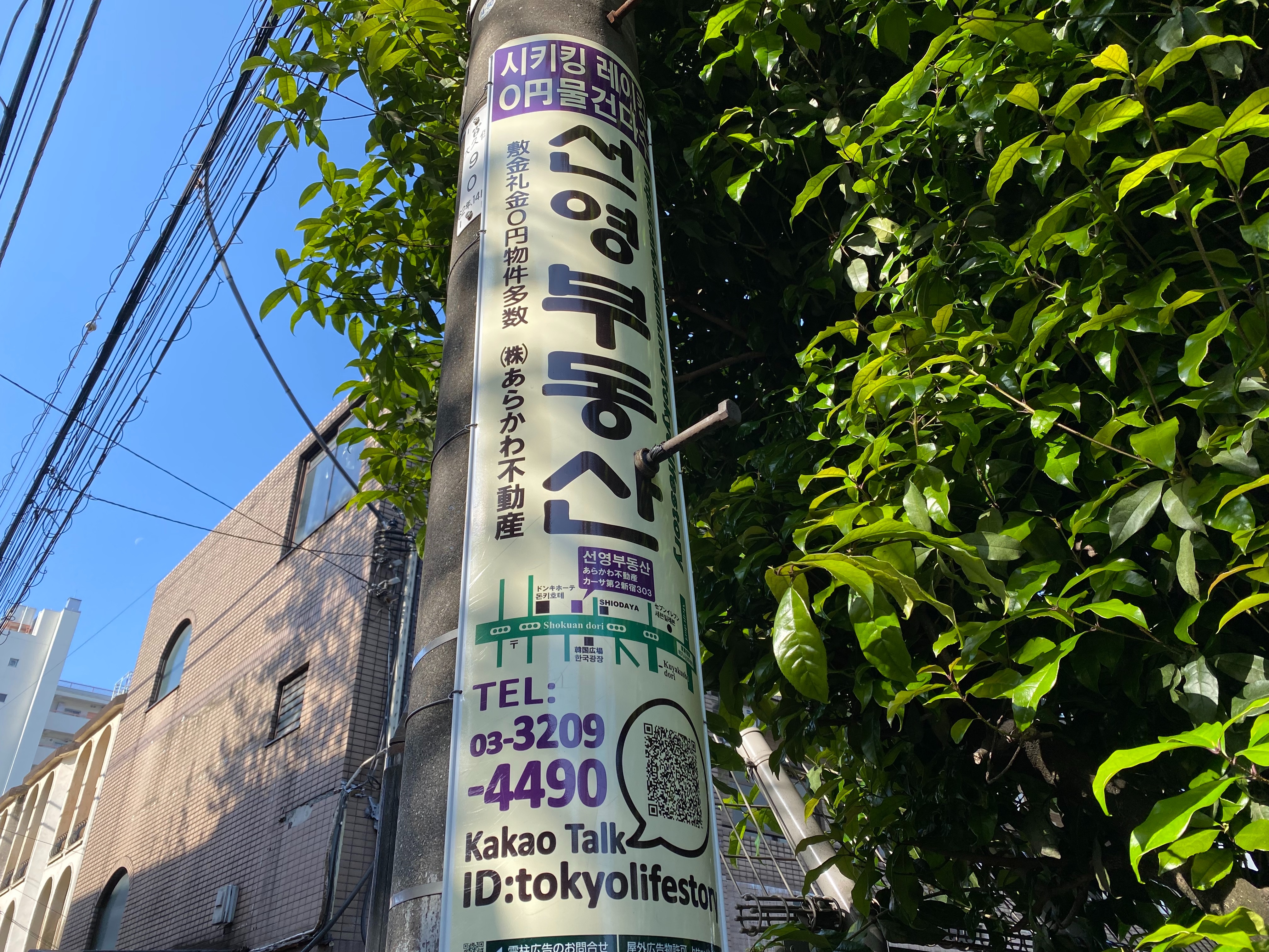 f:id:kazuki1026:20260422164857j:image