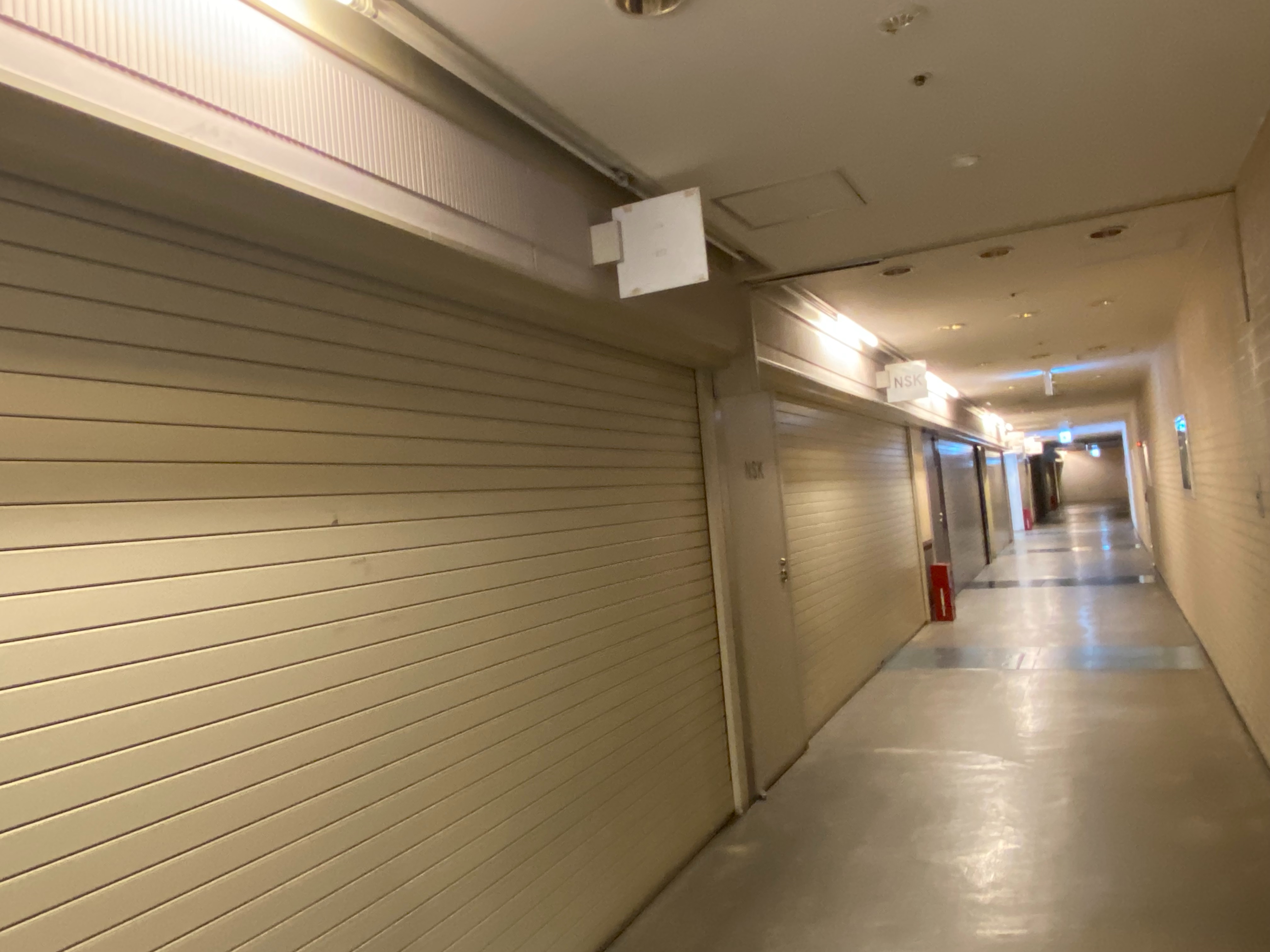 f:id:kazuki1026:20260503075719j:image f:id:kazuki1026:20260503075719j:image