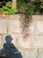 20091001063600