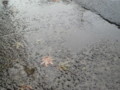 20091009063500