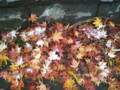 20091102063400