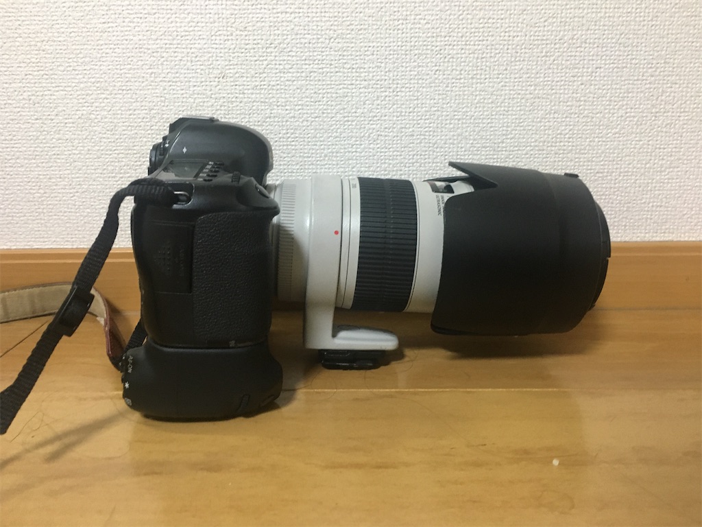 CanonEF 70-200mm f/2.8L IS III USM ナナニッパ Canon EF 70-200mm f/2.8L USM Lens Review