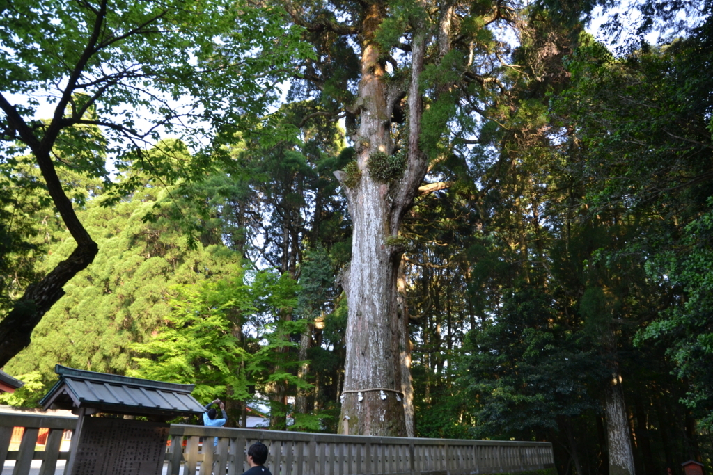 f:id:kazuki_SS:20180503194648j:plain f:id:kazuki_SS:20180503194648j:plain