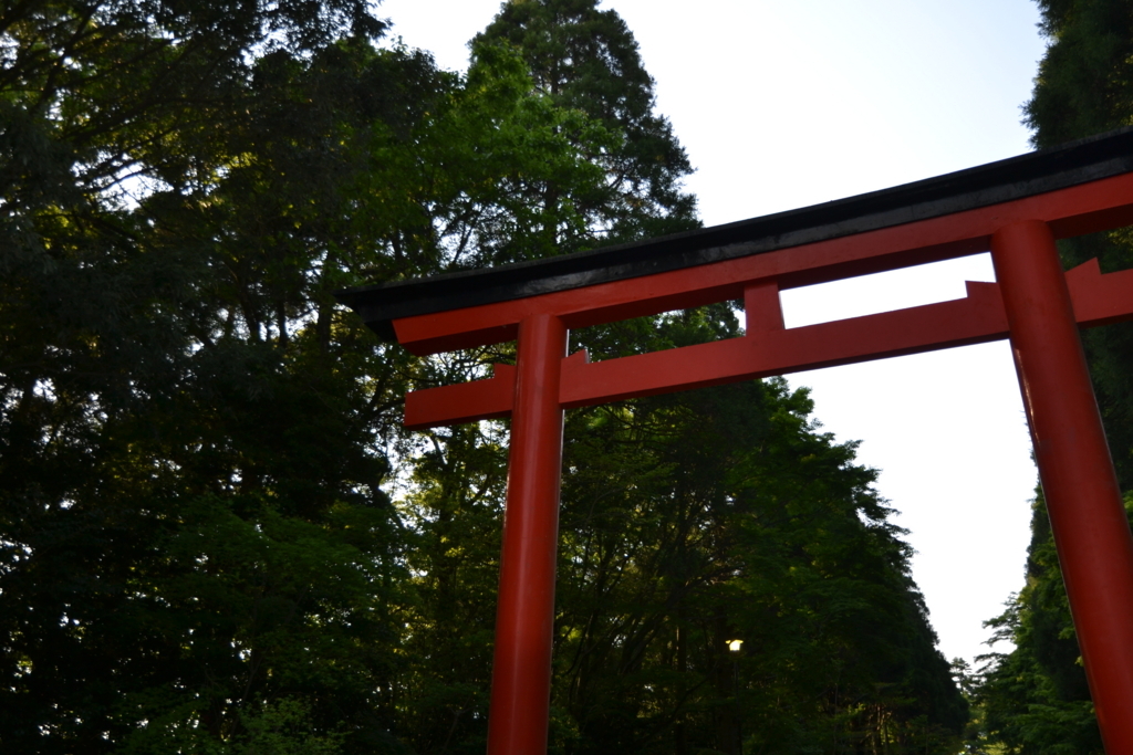 f:id:kazuki_SS:20180503200108j:plain f:id:kazuki_SS:20180503200108j:plain