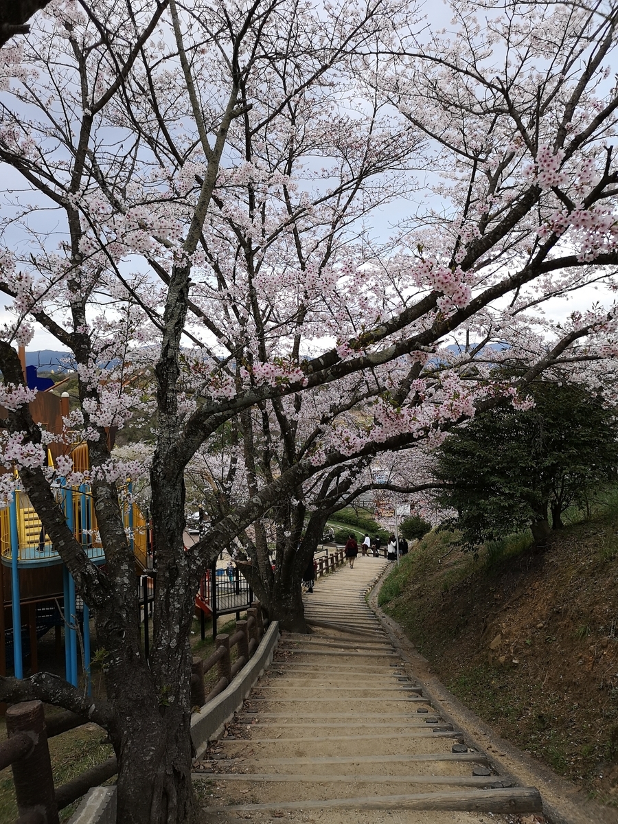 f:id:kazuki_SS:20190403202959j:plain f:id:kazuki_SS:20190403202959j:plain