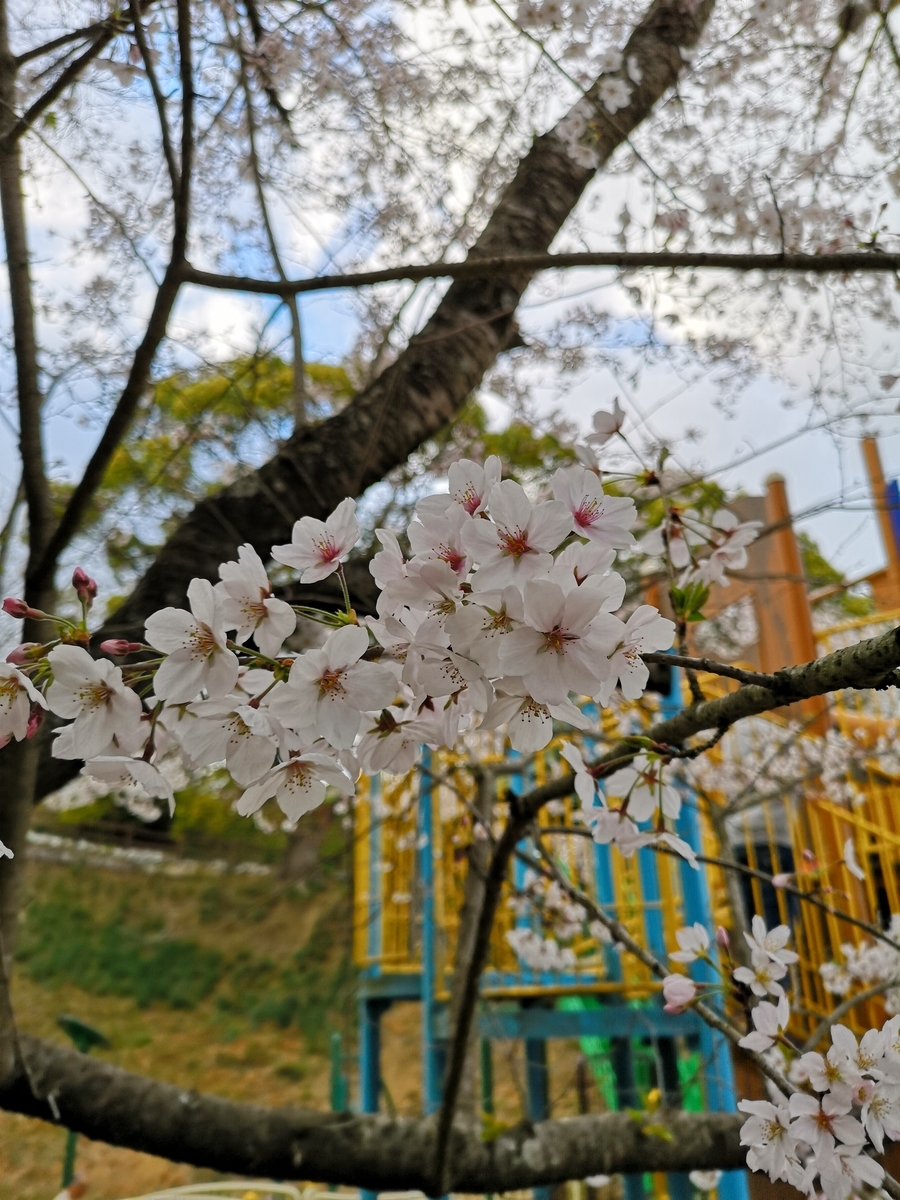 f:id:kazuki_SS:20190403203011j:plain f:id:kazuki_SS:20190403203011j:plain