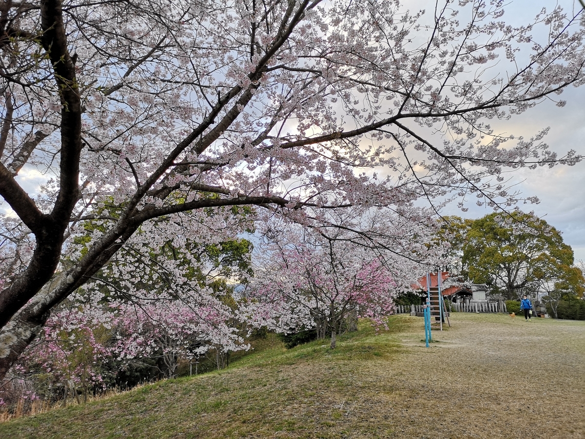 f:id:kazuki_SS:20190403203523j:plain f:id:kazuki_SS:20190403203523j:plain
