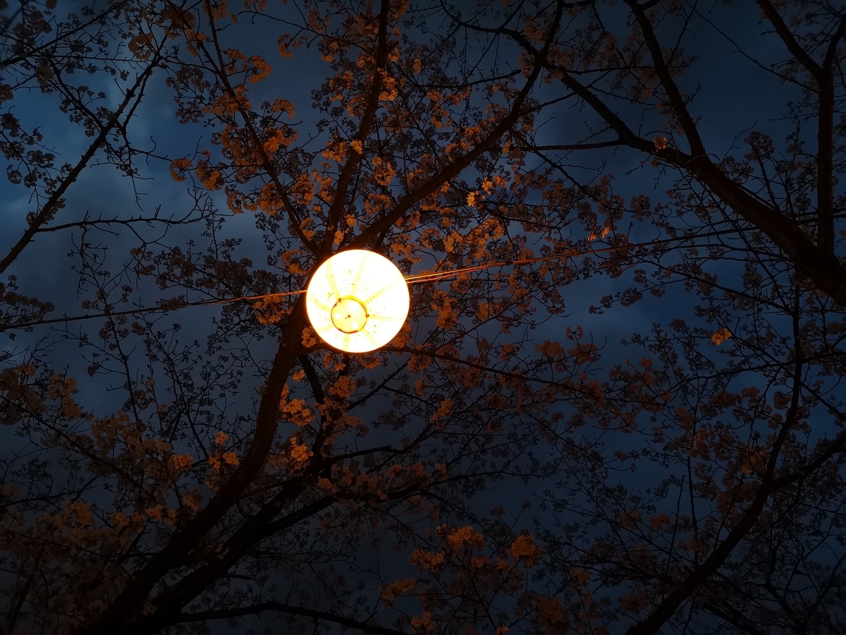 f:id:kazuki_SS:20190403204644j:plain f:id:kazuki_SS:20190403204644j:plain