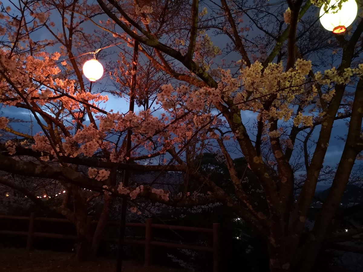 f:id:kazuki_SS:20190403204659j:plain f:id:kazuki_SS:20190403204659j:plain