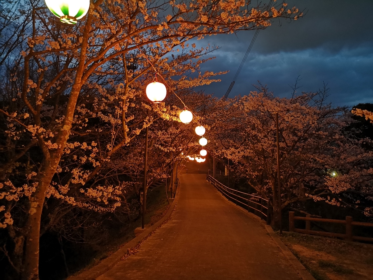 f:id:kazuki_SS:20190403205442j:plain f:id:kazuki_SS:20190403205442j:plain