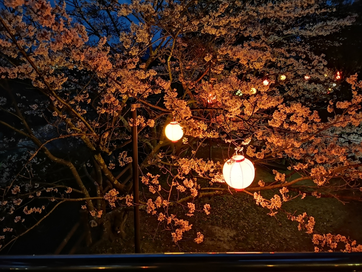 f:id:kazuki_SS:20190403205455j:plain f:id:kazuki_SS:20190403205455j:plain
