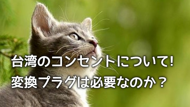 f:id:kazukiairi:20190416185257j:plain