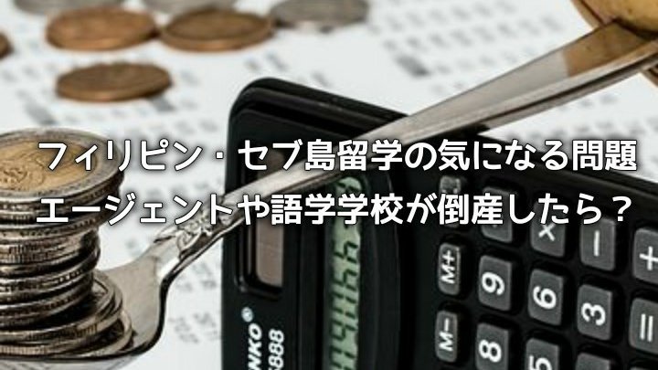 f:id:kazukiairi:20190422191326j:plain