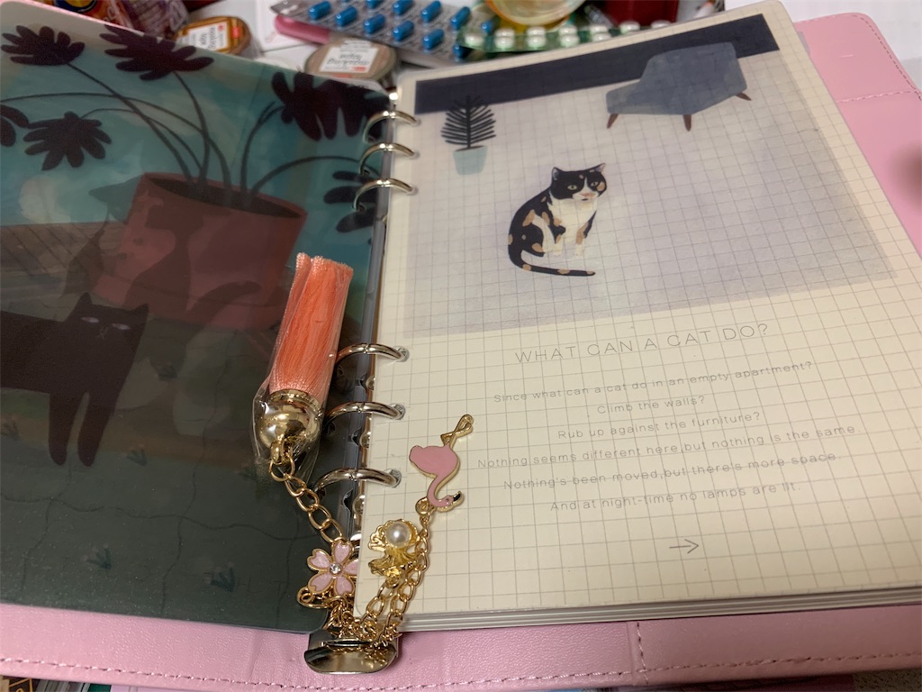 f:id:kazukichi1783:20181208221827j:image f:id:kazukichi1783:20181208221827j:image