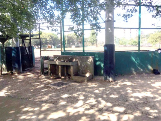 f:id:kazukichi_0914:20200727135830p:plain f:id:kazukichi_0914:20200727135830p:plain