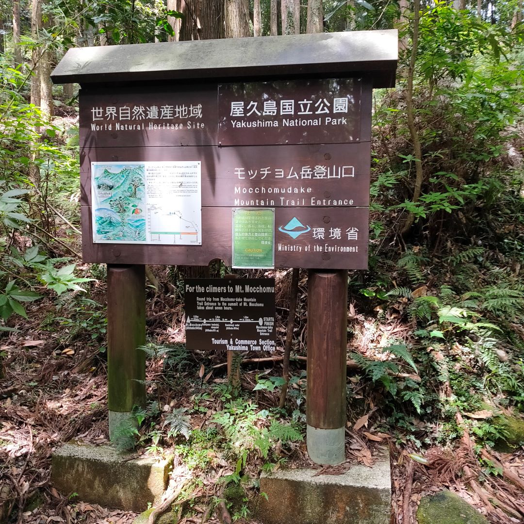 f:id:kazukilife:20200924203908j:plain f:id:kazukilife:20200924203908j:plain