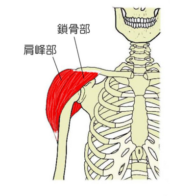書評,レビュー】『ハヴァシュ・バイオリン奏法 力みをとり、あがりを