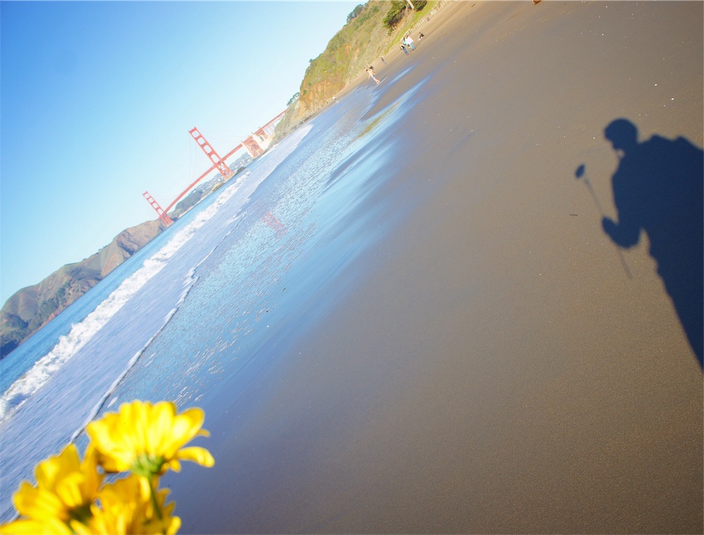 f:id:kazukiyo0427:20170314212204j:image f:id:kazukiyo0427:20170314212204j:image