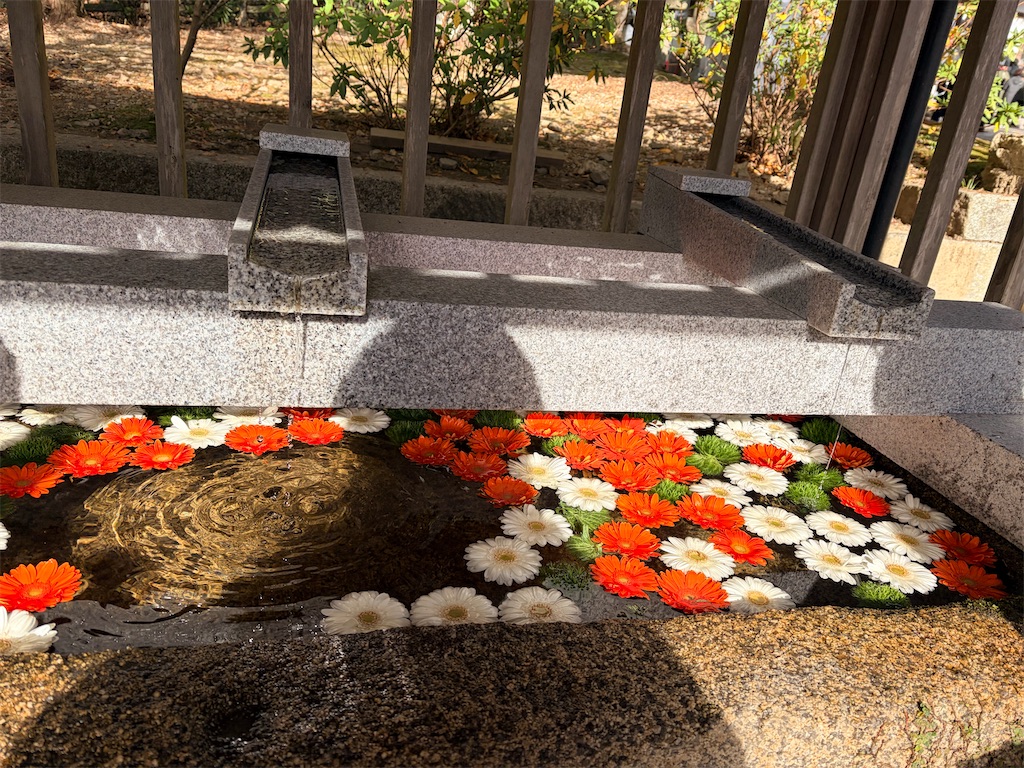 f:id:kazukomtng:20260102170348j:image f:id:kazukomtng:20260102170348j:image