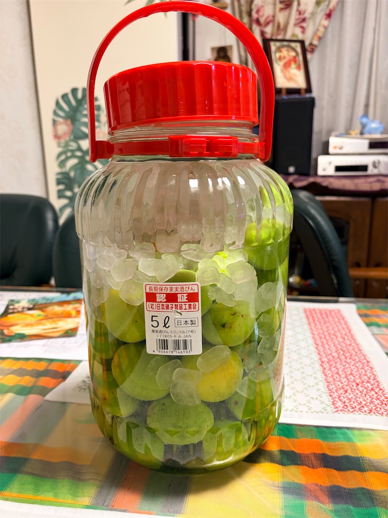 f:id:kazukomtng:20260604173521j:image