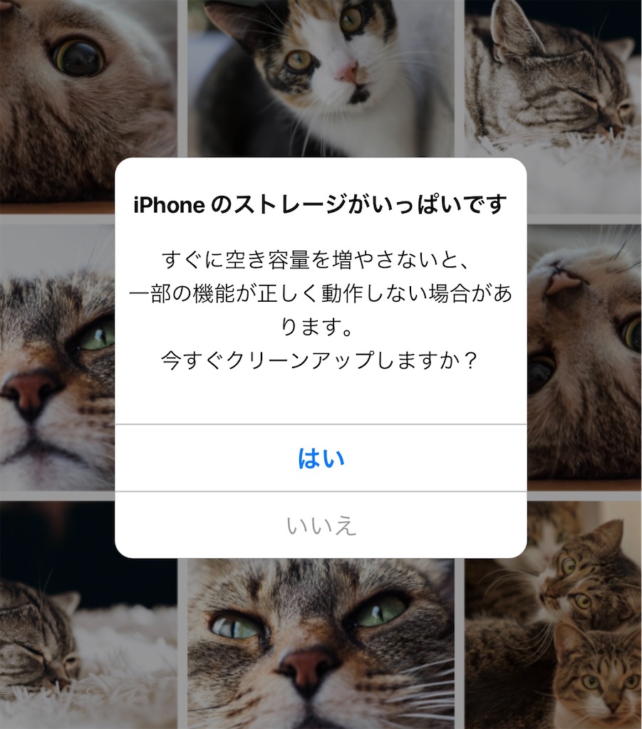 f:id:kazukomtng:20260704095256j:image f:id:kazukomtng:20260704095256j:image