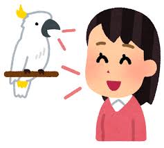 f:id:kazuma3451:20190406173611j:plain f:id:kazuma3451:20190406173611j:plain