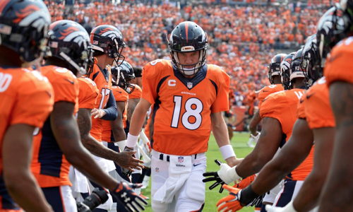 2016/NFL☆ SUPER BOWL☆50記念大会ヘルメット 000000147954-01-l.jpg?t=