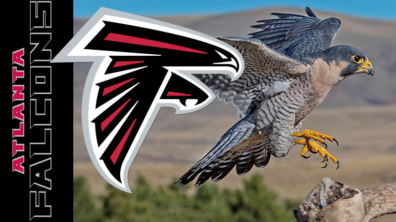 f:id:kazumax78:20171114082940j:plain f:id:kazumax78:20171114082940j:plain