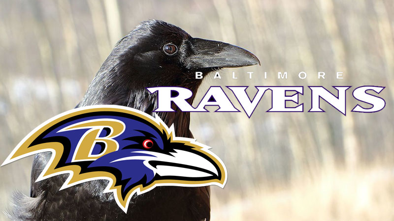 f:id:kazumax78:20171114082943j:plain f:id:kazumax78:20171114082943j:plain