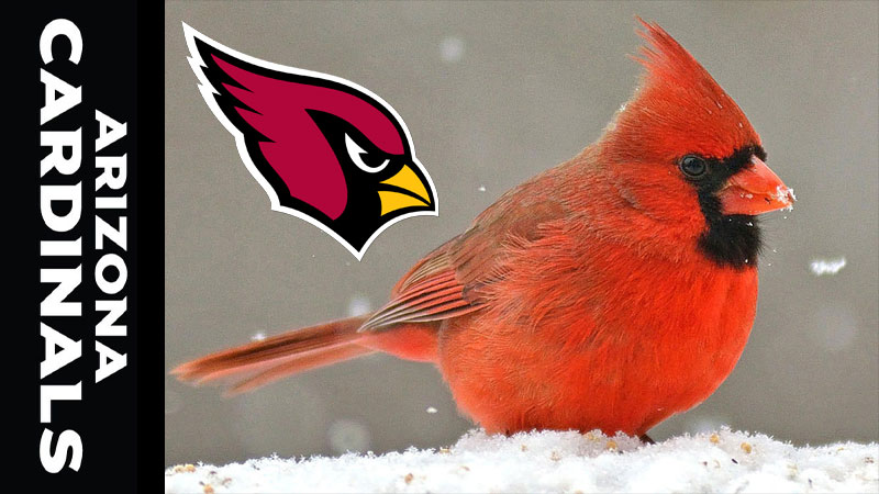 f:id:kazumax78:20171114083331j:plain f:id:kazumax78:20171114083331j:plain