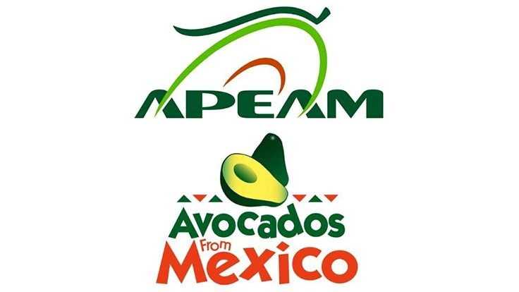 f:id:kazumax78:20200217100129p:plain f:id:kazumax78:20200217100129p:plain