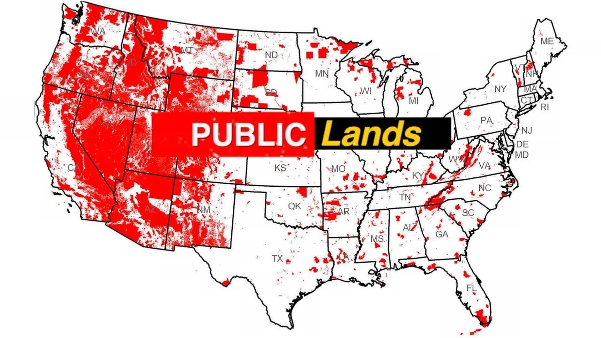 f:id:kazumax78:20200621133808j:plain