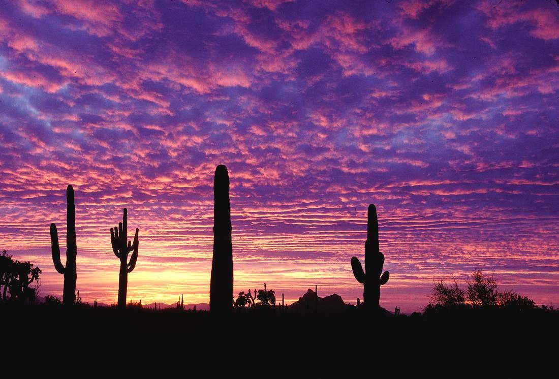 f:id:kazumax78:20200824151405j:plain f:id:kazumax78:20200824151405j:plain