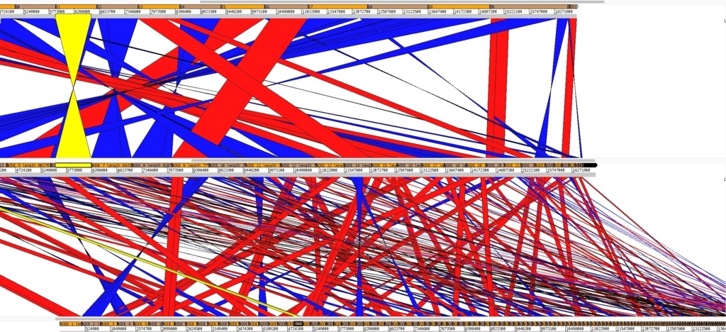 f:id:kazumaxneo:20171006211808j:plain f:id:kazumaxneo:20171006211808j:plain
