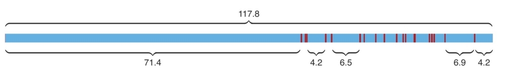 f:id:kazumaxneo:20180430205752j:plain