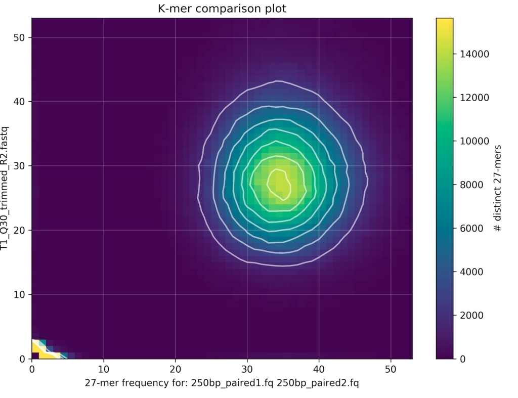 f:id:kazumaxneo:20180501133334j:plain
